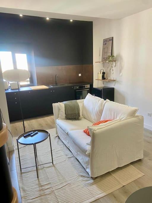 Appartement Le 23, Cocon Dans Le Centre Historique à Montauban Extérieur photo