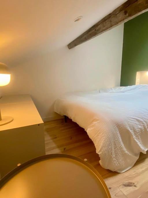 Appartement Le 23, Cocon Dans Le Centre Historique à Montauban Extérieur photo